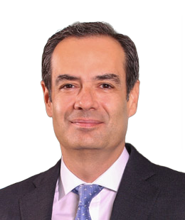 N. Orhun Köstem