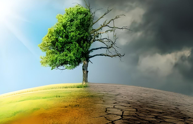 Climate Emergency